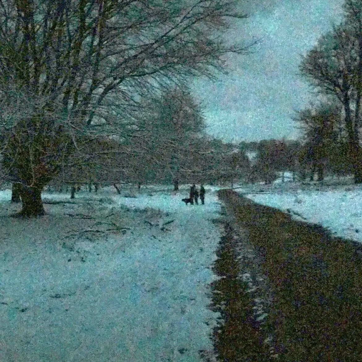 Immer Snow Song out 30th Jan 2026